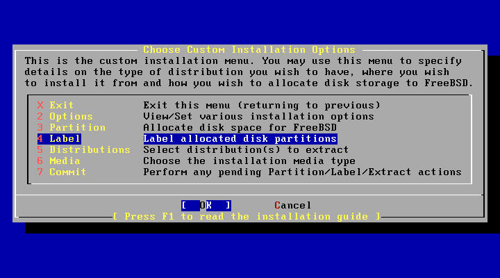 Custom Installation Options